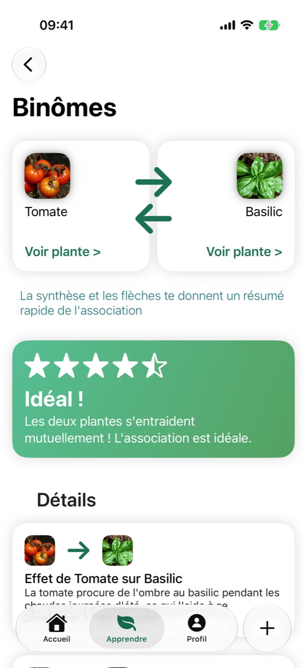L'écran Binômes de l'app : tomate et basilic, avec les flèches d'effet et le verdict « Idéal ! ».