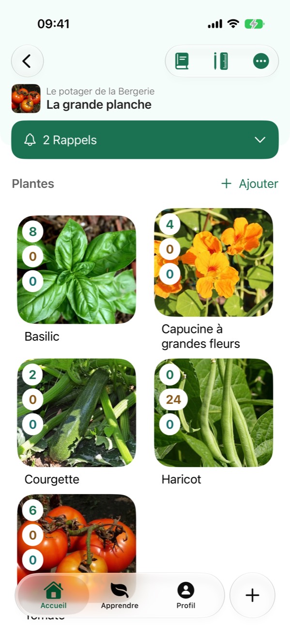 Une parcelle de l'app, « La grande planche », avec ses plantes : basilic, capucine, courgette, haricot et tomate.