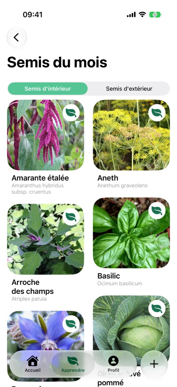 L'écran Semis du mois : les plantes à semer en intérieur ce mois-ci, avec leur nom latin.